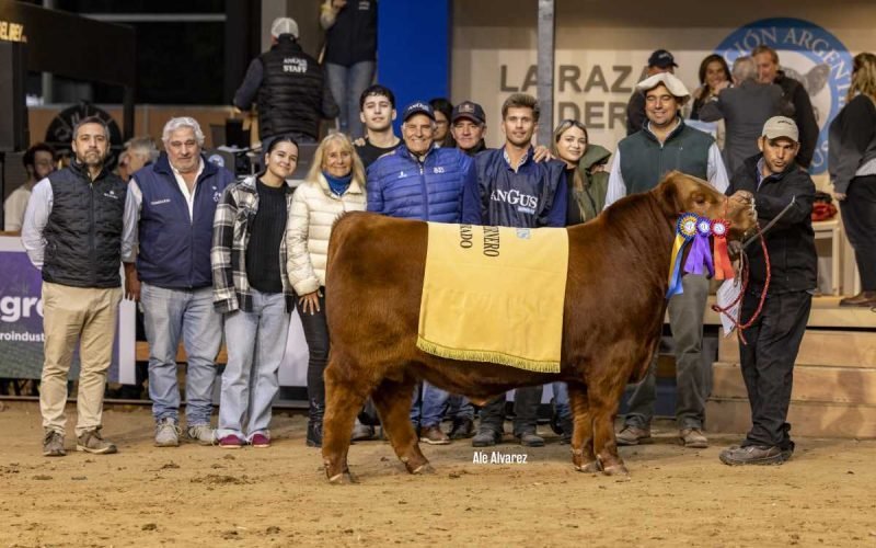 3 3M TRO COL OT25 - Dueños